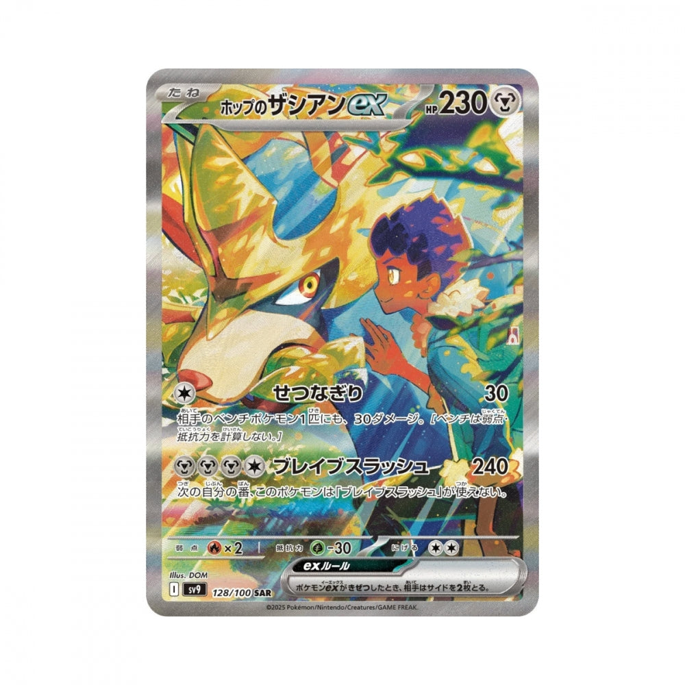 Pokémon Battle Partners – hits fra settet
